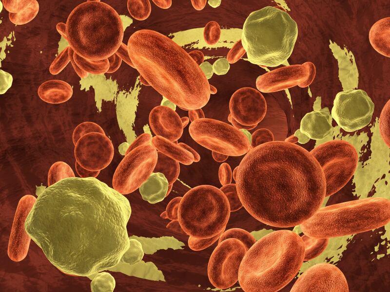 EC-to-award-first-health-claim-for-combined-effects-of-nutrients-on-lowering-cholesterol.jpg