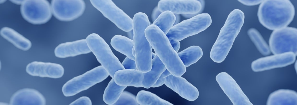 Translating probiotic efficacy into stable consumer formats