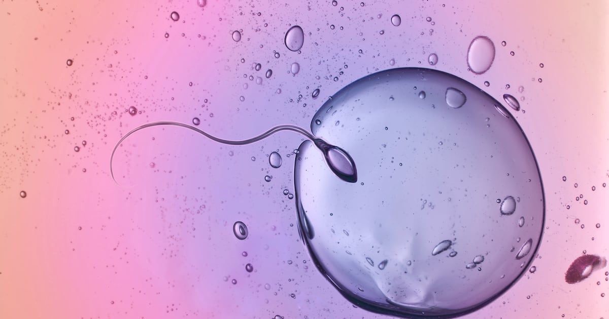 Higher antioxidant intake is linked to better sperm health and fertility in men