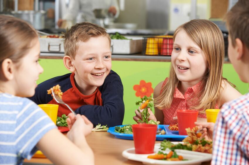 school-lunch-children-education.jpg