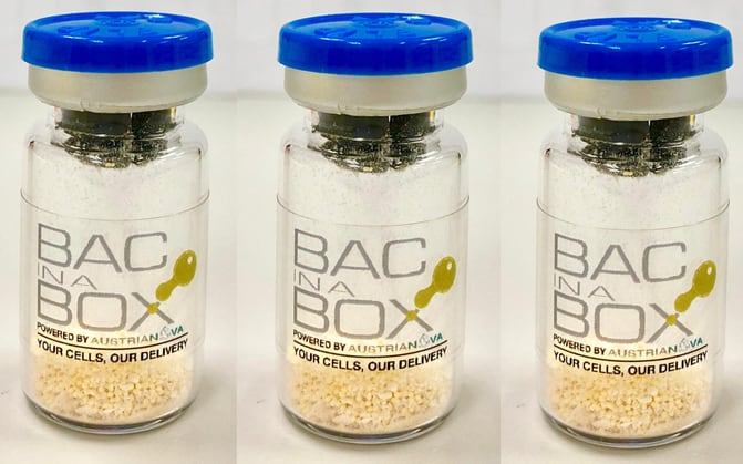 Bac-in-a-Box.png