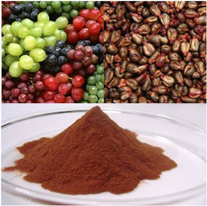 grapes-seeds-extract-Polyphenolics.jpg