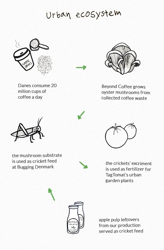 urban-food-loop.jpg