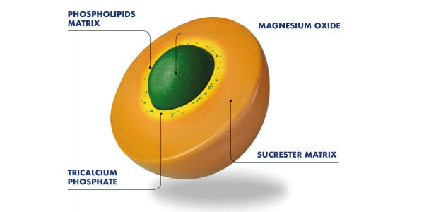 IMAGE-1.jpg