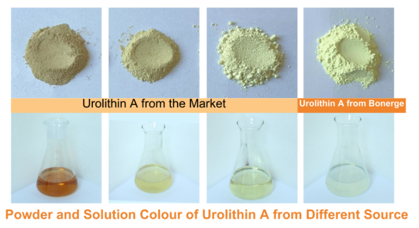 Urolithin A comparison from different sources