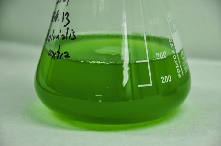 Exogenous GABA boosts astaxanthin production: Study 