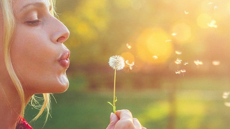 Tinofend®: All Natural Allergy Relief and Immune Support
