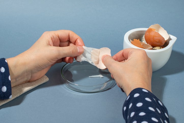 Sustainability-mission-leads-to-eggshell-derived-veggie-collagen.jpg