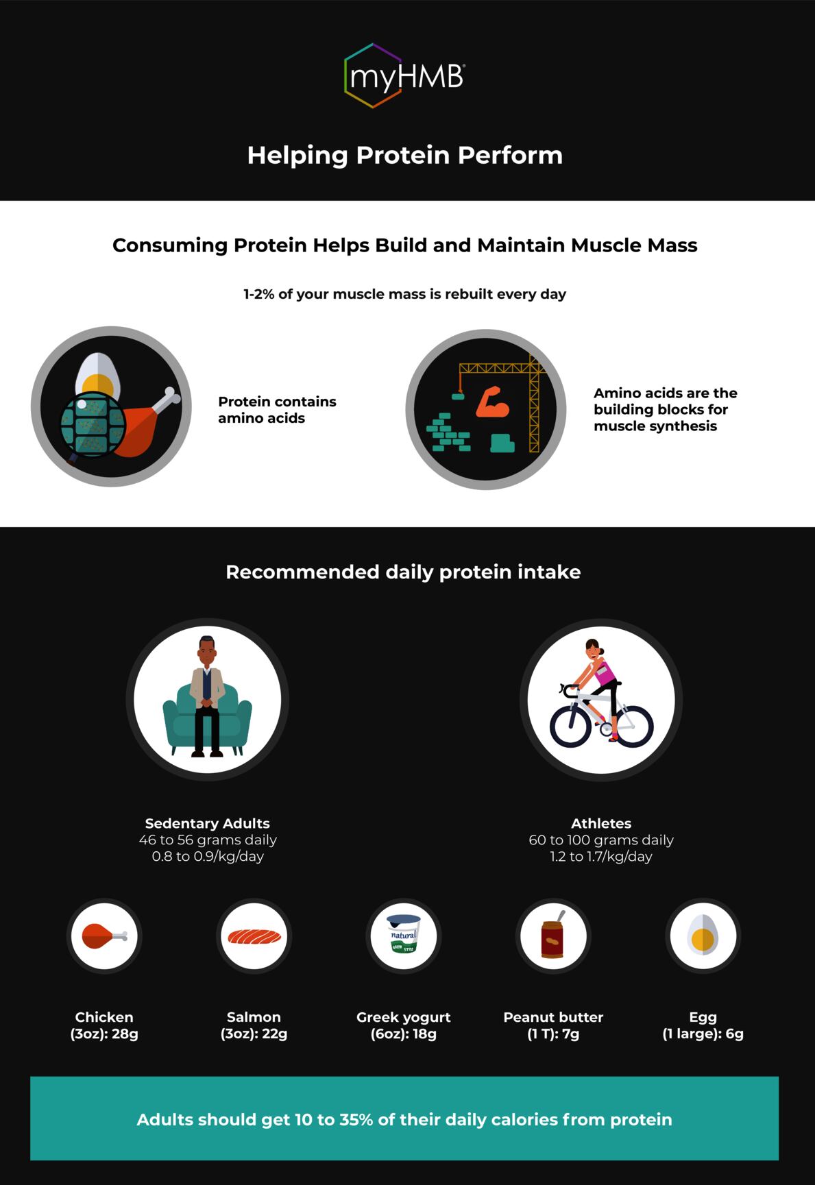 myHMB-R-Helping-Protein-Perform.png