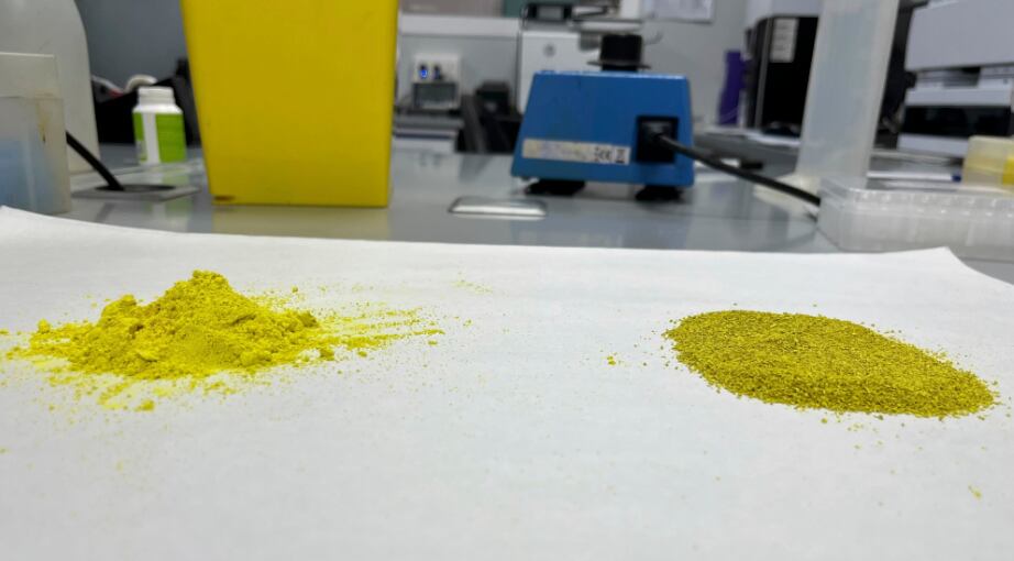 Tradichem licenses global distribution of granular quercetin and CoQ10 ingredients to Cellmark