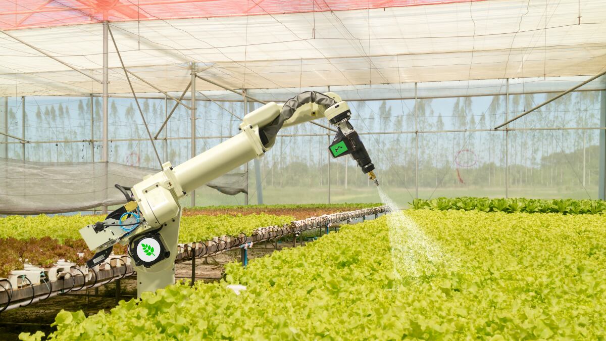 Precision-agriculture-for-nutraceutical-industry-Indian-start-up-details-ambitious-plans-to-raise-standards.jpg