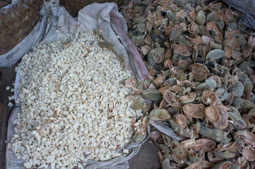 Baobab-fruit.jpg