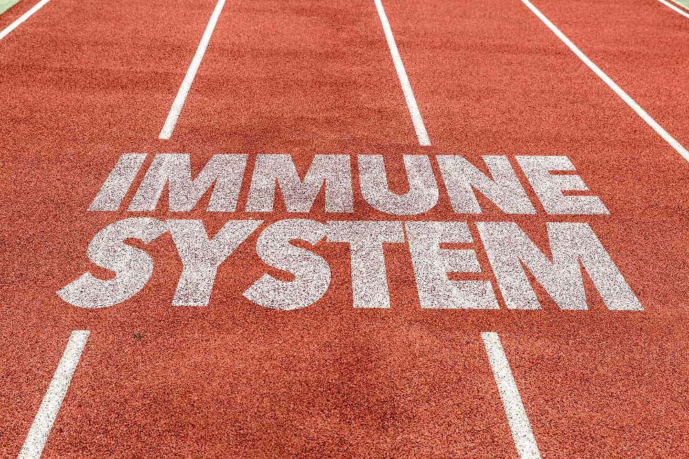Immune-health-C-Getty-Images-gustavofrazao.jpg