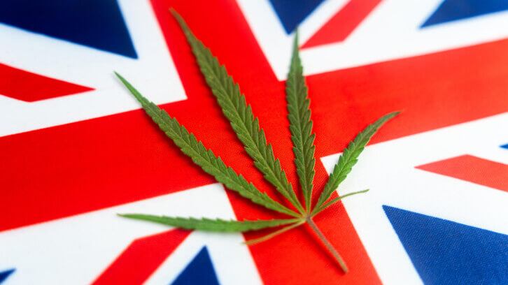 UK food law consultant: Don’t acquiesce to FSA’s new CBD dose opinion 