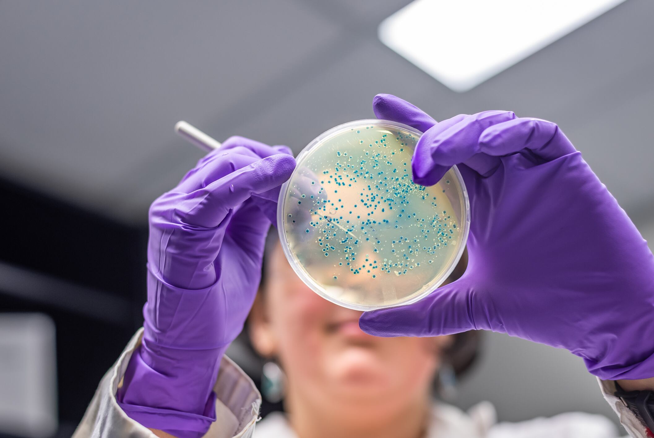 Pioneering scientists create designer prebiotics to disrupt the microbiome health space 
