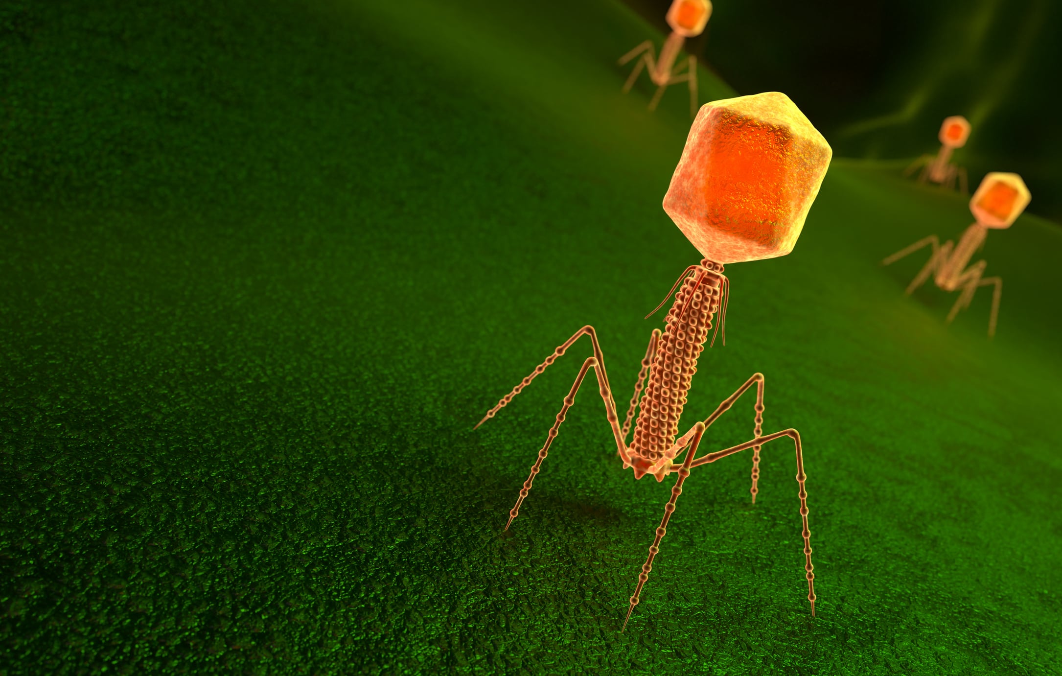 From bench to biome: CRISPR phages could precision edit the microbiome 