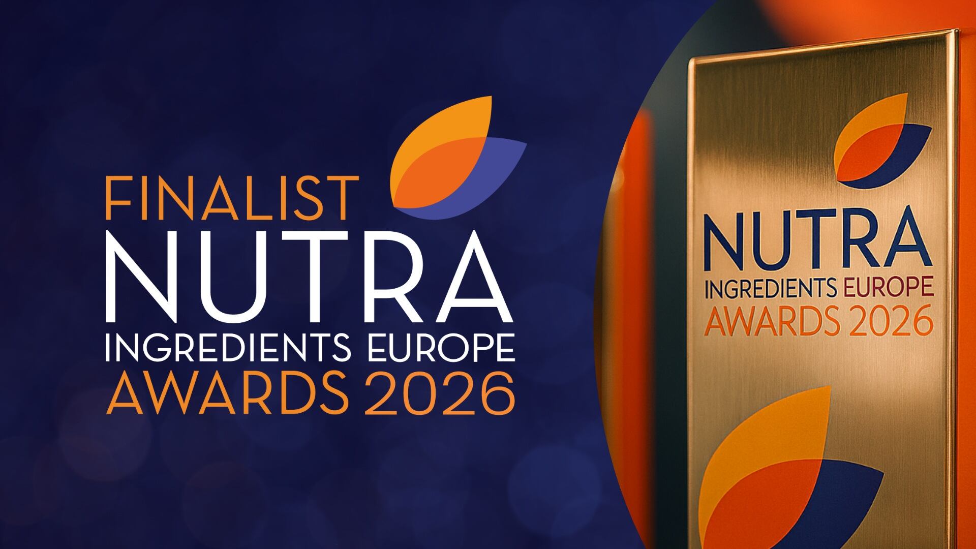 NI EU Awards Finalists
