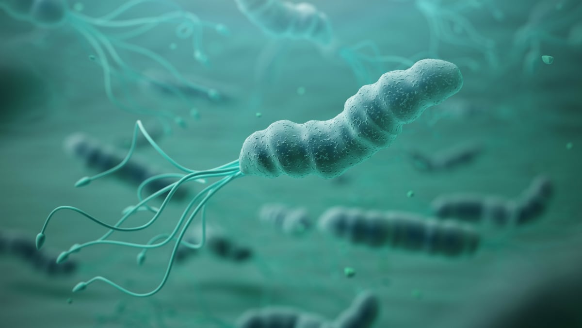 Probiotics and Helicobacter pylori: Supplementation increases eradication speed and decreases side effects