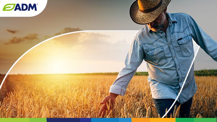 How-regenerative-farming-advances-climate-goals-Set-up-moved-to-FNE-Ignore.jpg
