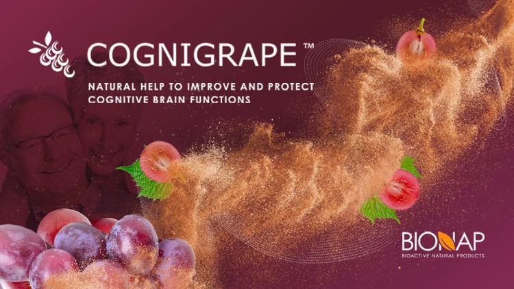 NATURAL HELP TO IMPROVE AND PROTECT COGNITIVE BRAIN FUNCTIONS