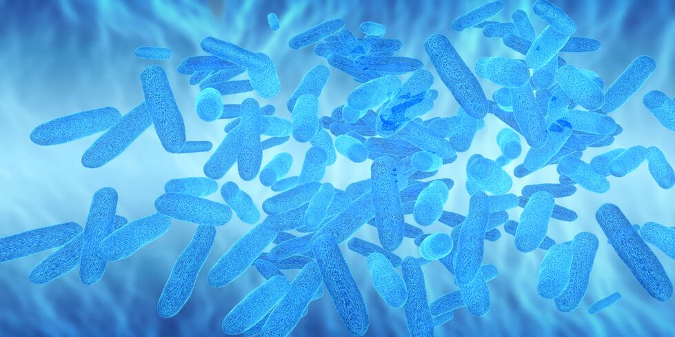 microbiota-gut-bacteria-probiotics-prebiotics-iStock-goa_novi.jpg
