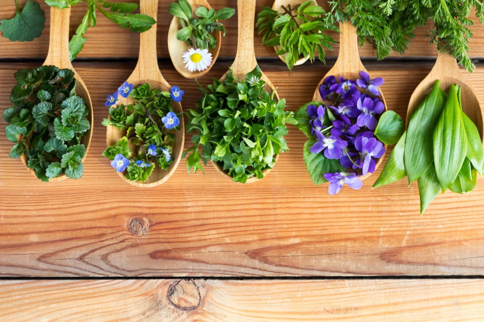 Southern Cross University reveals how $10m Blackmores Foundation donation will help transform naturopathy education