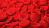 Gut-heart axis: Study shows polyphenol-rich extracts can modulate the gut microbiota