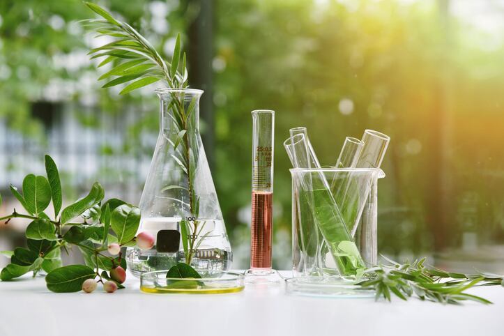 Pioneering-plant-extracts-in-the-running-for-NI-Awards.jpg