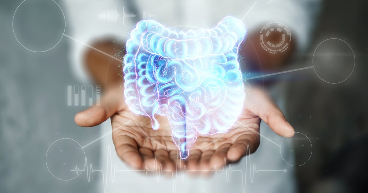 Groupe Berkem study reveals impact of Biombalance on gut-brain axis Groupe Berkem study reveals impact of Biombalance on gut-brain axis