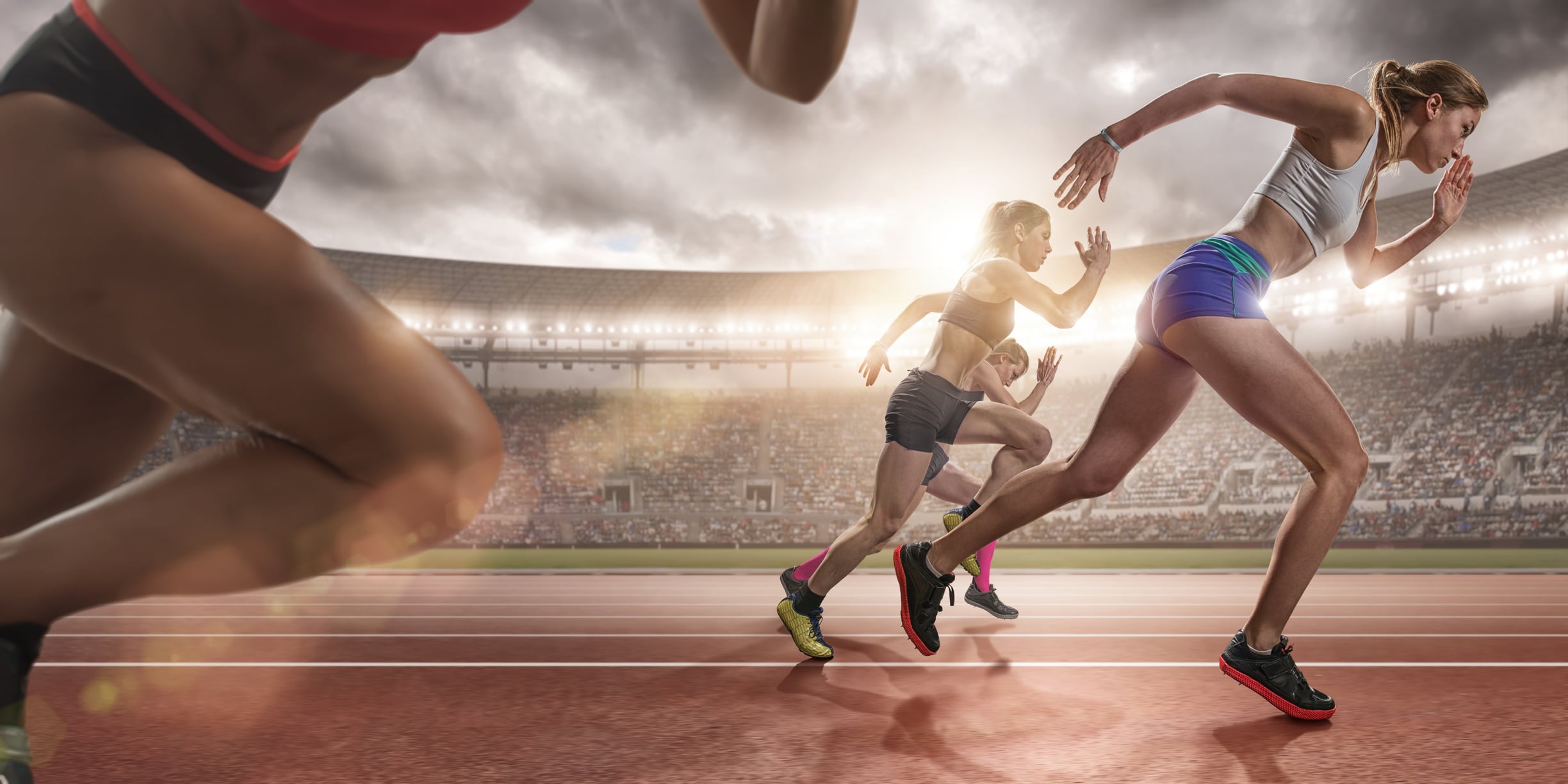 Polyphenol-rich food can alleviate gut dysbiosis in elite athletes