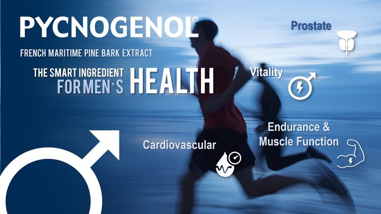 Pycnogenol®, a Men’s Health multitasker