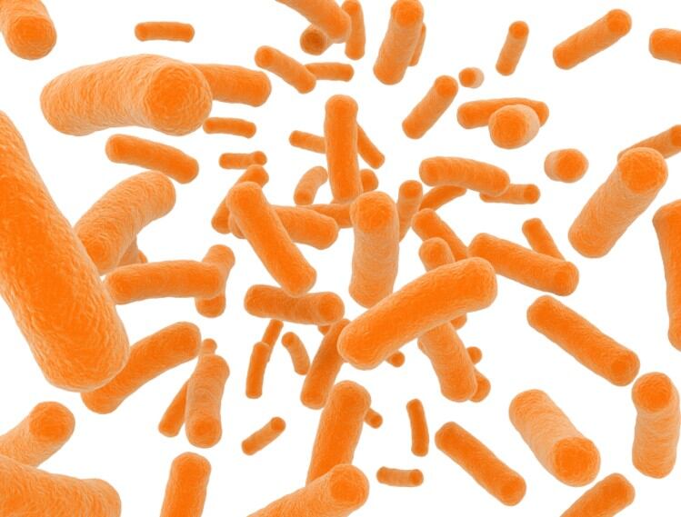 Can our microbiome accurately identify diseases … and predict death?