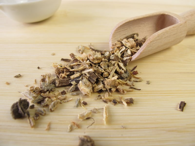 EC clarifies Echinacea extract supplement use as novel food ingredient 