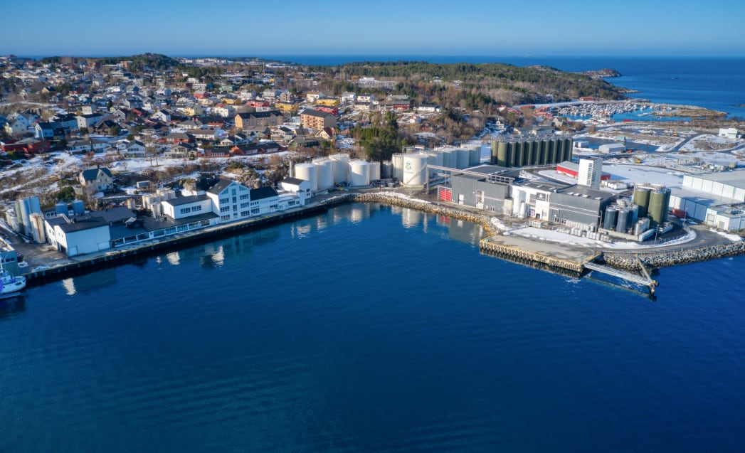 GC-Rieber-VivoMega-reveals-75m-expansion-plans.png