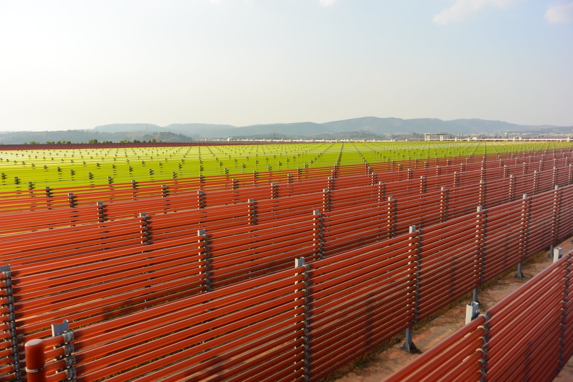 BGG expands astaxanthin facility in China as part of ambition to double sales by 2028