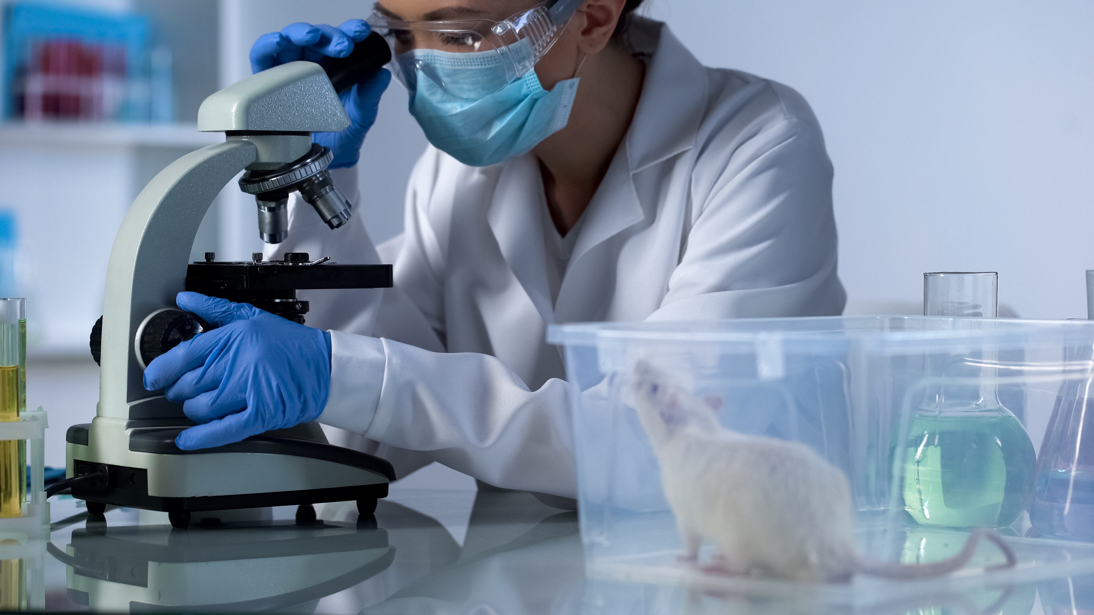 Anti-aging benefits of PQQ may extend beyond antioxidant effects, new research finds