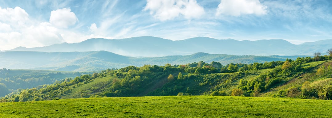 green fields and mountains