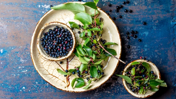 Maqui berry - natural support for an imbalanced lifestyle