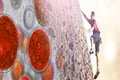 Beyond astaxanthin – AstaPure Arava Powder: 1.5 billion years of resilient evolution