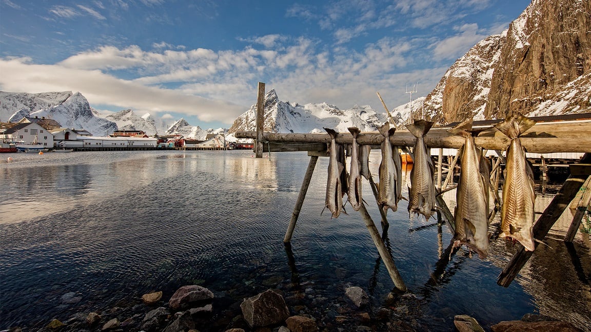 Orkla-Health-commits-to-global-cod-liver-oil-sustainability.jpg