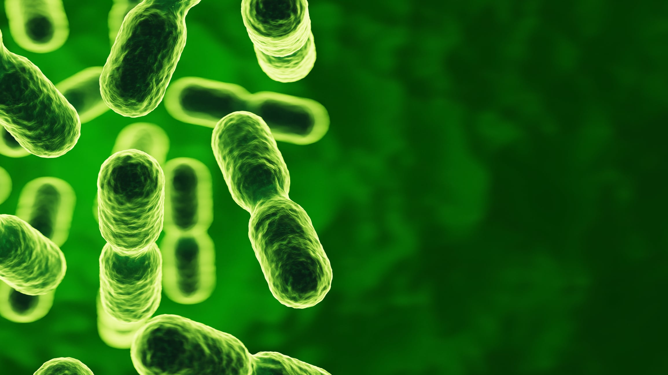 "Our goal is to make routine species-level verification accessible and practical, so manufacturers can expand microbiological oversight across more production and release points," said Celina To, senior manager, industry access at bioMérieux.