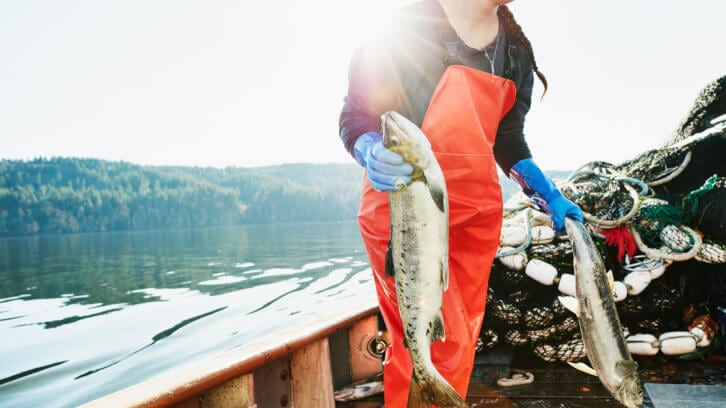 Grøntvedt biotech achieves 'Friend Of The Sea' recognition for sustainable fish oil 