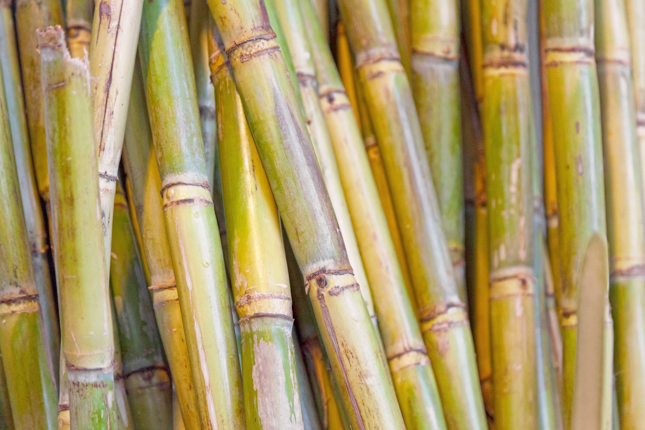 Stack of sugarcane for sale on a market stall.