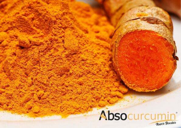 Absocurcumin® - A Botanic Joint Health Ingredient