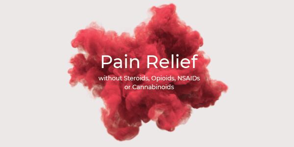 banner2.jpg