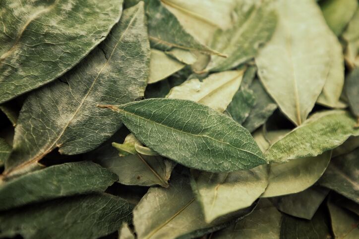 Coca leaf powder importer dinged over claims without reference to possible cocaine content