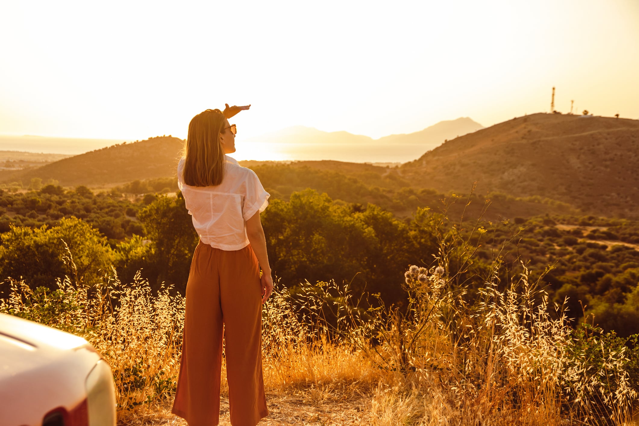 Shatavari: A lifelong ally supporting every chapter of a woman’s journey