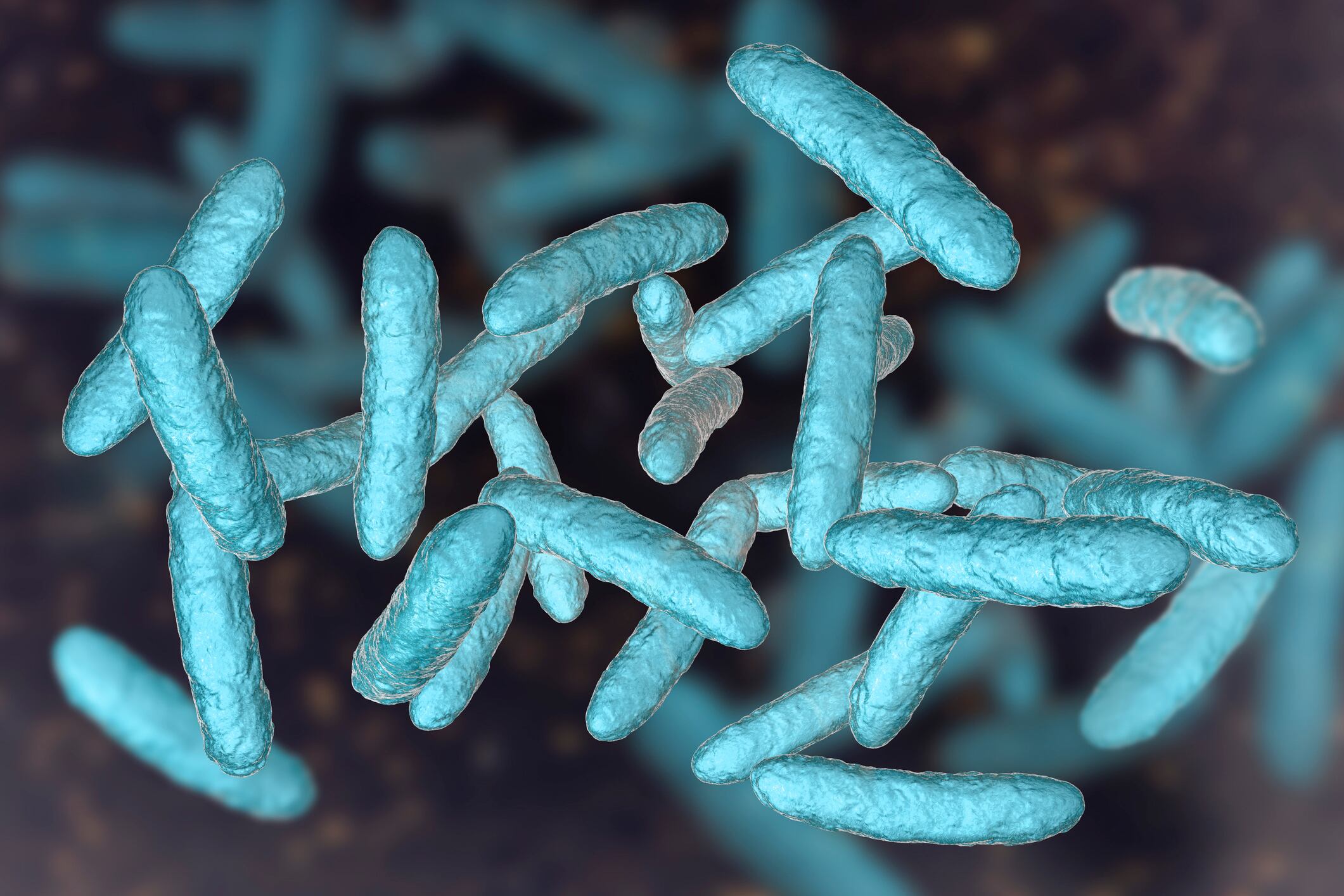 Probiotics-2-C-Getty-Images-Dr_Microbe.jpg