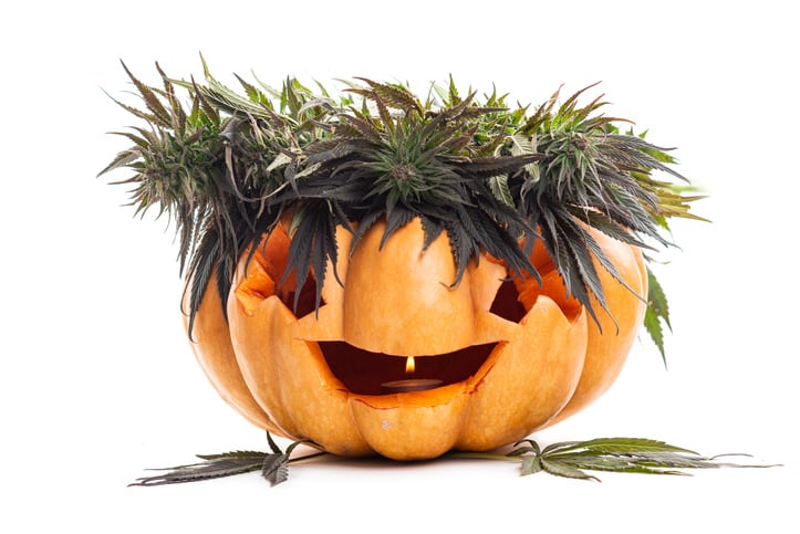 Edibles that look like candy: a different kind of scary this Halloween 