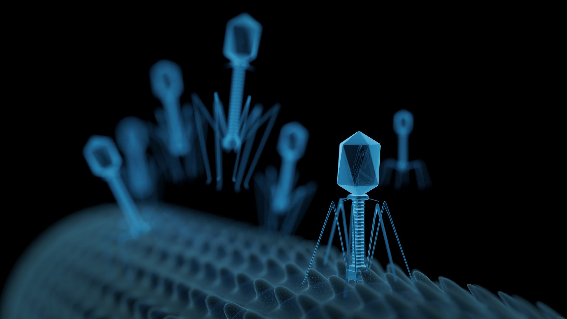 Gut-bacteriophages-linked-to-improved-cognitive-ability-in-humans-and-mice-flies.jpg